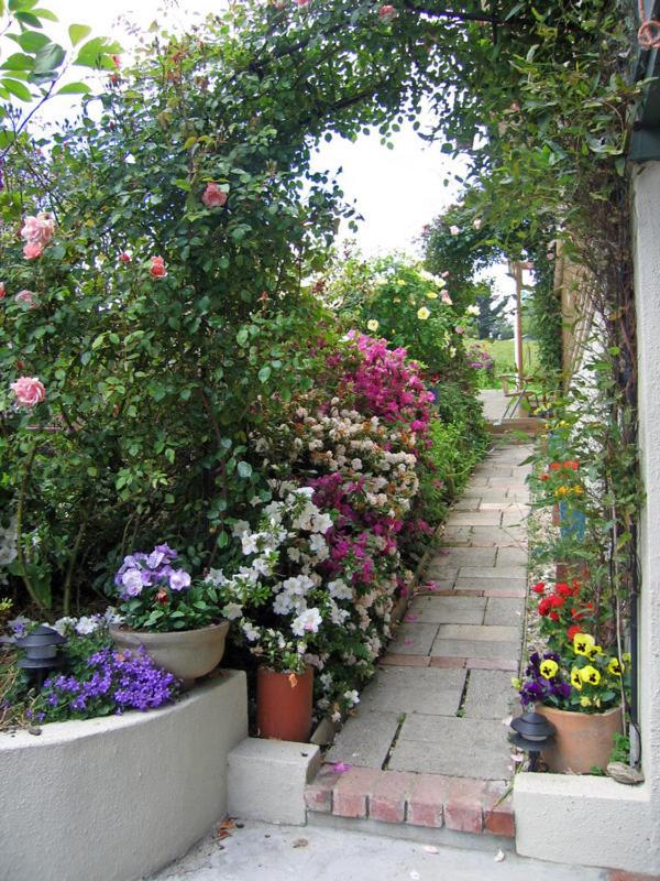 Mcauley Glen Boutique B&B Portobello Eksteriør billede