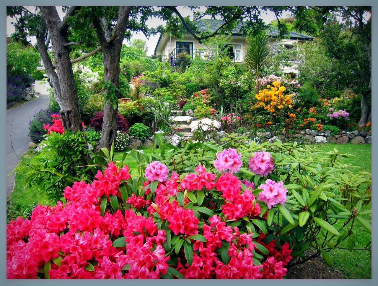 Mcauley Glen Boutique B&B Portobello Eksteriør billede
