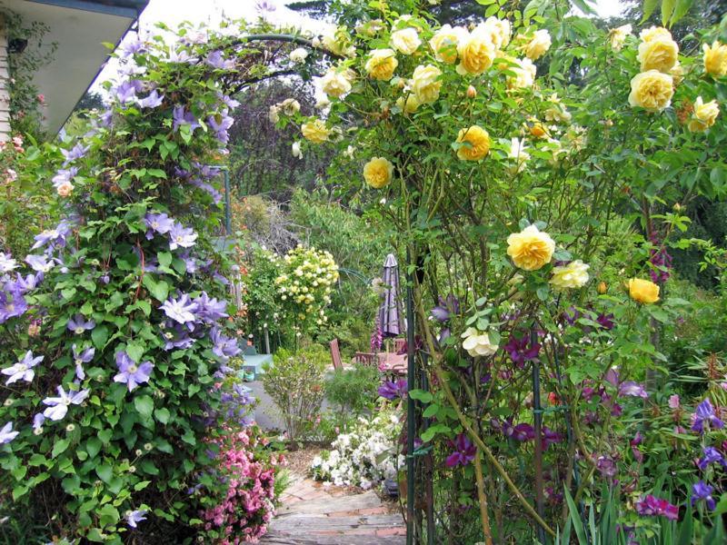 Mcauley Glen Boutique B&B Portobello Eksteriør billede